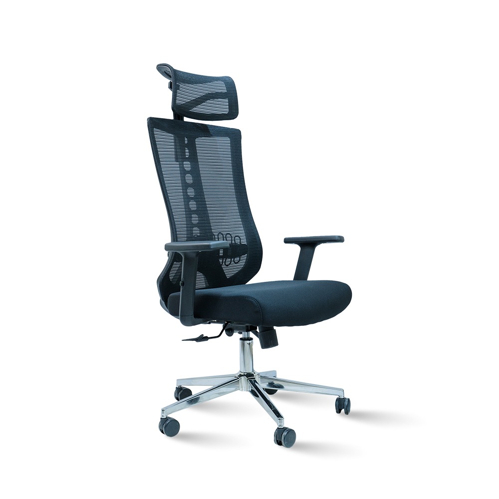 1703 Ergonomical Mesh Chair