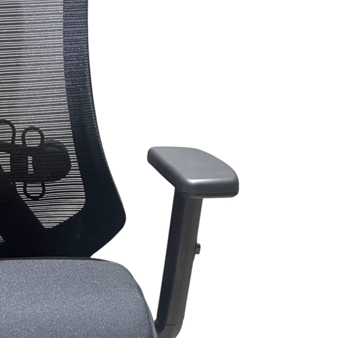 1703 Ergonomical Mesh Chair